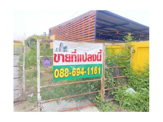 86264 - ขายที่ดินเปล่านาป่า 387 ตร.ว. หนองยายรักษ์1