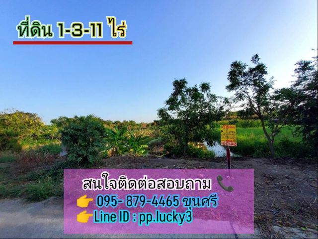 ขายถูกที่สุด!! ที่ดินไทรใหญ่ 711 ตารางวา ติดถนนคอนกรีตสาธารณะ ถนน นบ.3015 อ.ไทรน้อย จ.นนทบุรี095-879-4465