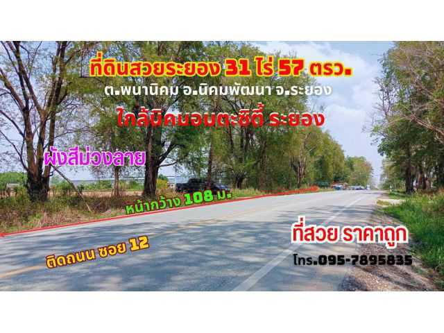 ขายที่ดินระยอง นิคมพัฒนา 31ไร่ 57.2 ตรว. ผังสีม่วงลาย ติดถนนซอย12 ใกล้นิคมอมตะซิตี้ระยอง นิคมอีสเทิร์นซีบอร์ดระยอง