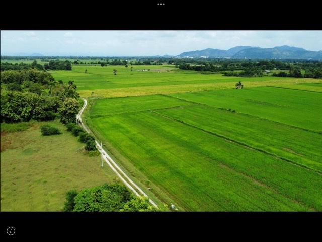 ขายที่ดิน13ไร่นส3ก.อยู่ชายทุ่งนามองเห็นขุนเขาใกล้สถานีรถไฟบ้านเขาปูนอยู่ในเขตเมืองขายเพียงไร่ละ4.5แสนเหมาะปลูกบ้านอยู่อาศัยทำการเกษตรเลี้ยงปลาจัดสรร