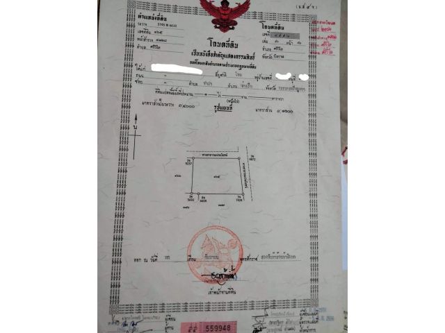 ขายที่ดิน 1 ไร่ ตำบล ศรีวิไล อำเภอ ศรีวิไล จังหวัด บึงกาฬ