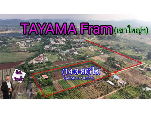 ขายที่ดินริมน้ำ | หลังTayama Farm Khaoyai (วิวลำธาร+เขา) 14-3-80 ไร่.(ไร่ล่ะ 1.9ลบ.) ต.คลองม่วง อ.ปากช่อง จ.นครราชสีม