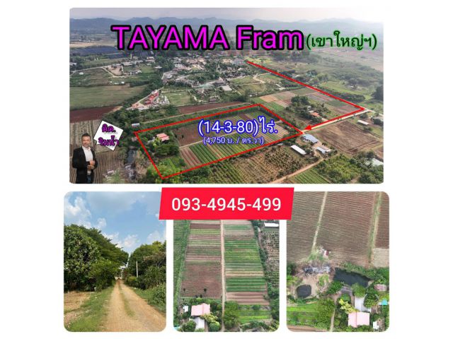 ขายที่ดินริมน้ำ | หลังTayama Farm Khaoyai (วิวลำธาร+เขา) 14-3-80 ไร่.(ไร่ล่ะ 1.9ลบ.) ต.คลองม่วง อ.ปากช่อง จ.นครราชสีมา.