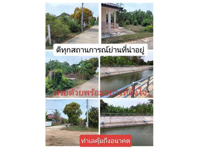 เลือกทั้งทีมีทั้งบ้านที่พร้อมอยู่ ทำเลหรูอยู่เขตเทศบาล ความพร้อมไม่ต้องพูดถึง ทำเลอยู่ได้นานถื่นฐานอยู่ได้จริง