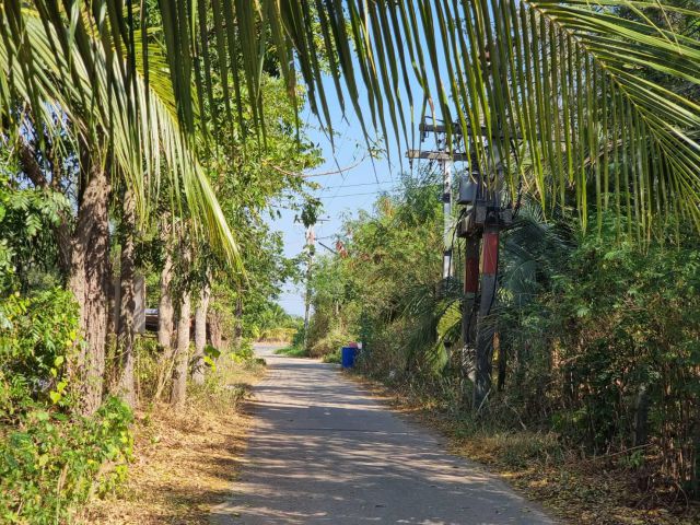 ขายที่ดินปากน้ำโจ้โล้ 4 ไร่ ใกล้ถนนเส้นวนะภูติ - 850 เมตร ใกล้โรงพยาบาลบางคล้า อ.บางคล้า ฉะเชิงเทรา