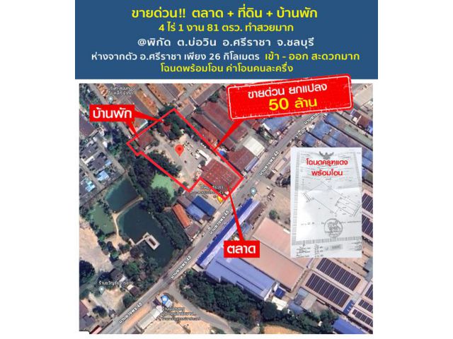 ขายด่วน ที่ดิน + ตลาด + บ้านพักอาศัยมูลค่า 5.5 ล้าน ทำเลดีมาก พื้นที่ 4 ไร่ 1 งาน 81 ตารางวา มีที่จอดรถสะดวก อยู่เขตชุมช