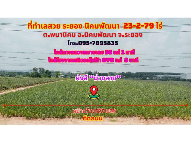 ขายที่ดินระยอง นิคมพัฒนา 23-2-79ไร่. ผังสีม่วงลาย ใกล้ทางหลวงสาย 36 ใกล้นิคม WHA ระยอง36 แค่ 8นาที