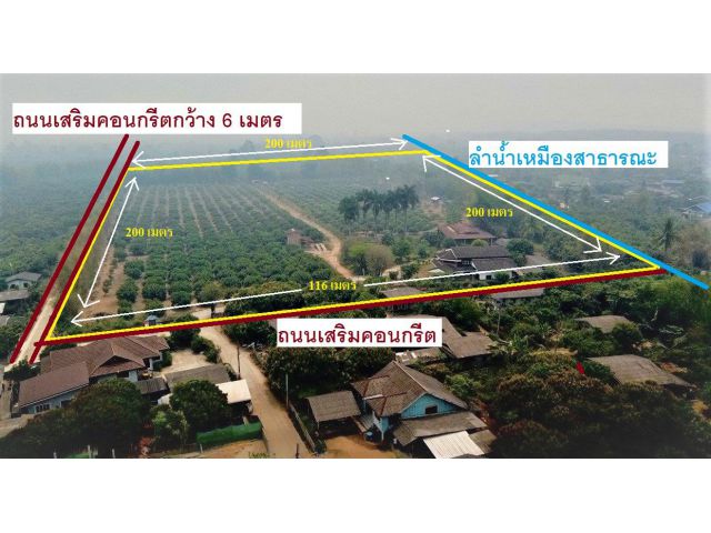 ที่สวนลำไยพร้อมบ้านหลังใหญ่ ติดถนน 2 ด้าน แม่สรวย ศรีถ้อย เจดีย์หลวง เชียงราย ใกล้ถนนเอเชีย วัดแสงแก้ เขื่อนแม่สรวย ดอยช