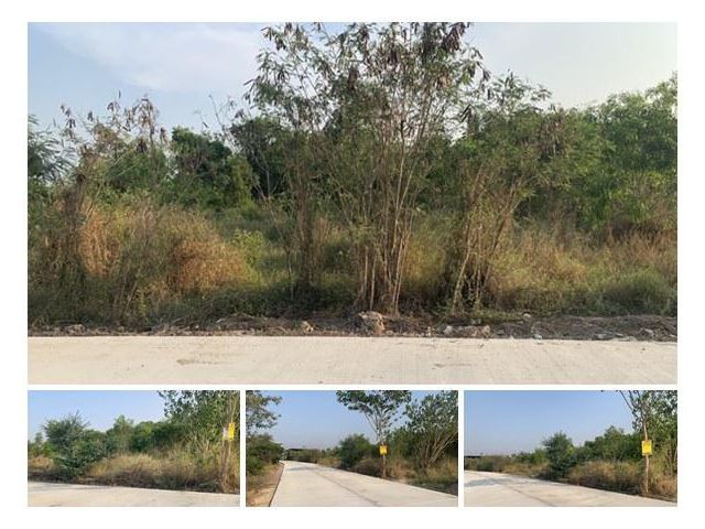 12202 ขายที่ดินปทุมธานี 1 ไร่ 78 ตร.ว. ลาดหลุมแก้ว ปทุมธานี / Latlumkaeo LAND for SALE, Pathumthani, THAILAND