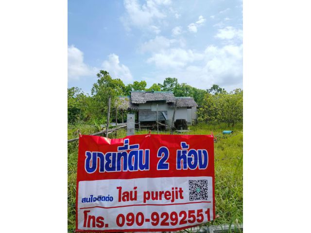 ขายที่ดิน 2 ห้อง ( 2 ห้องกว่า) หรือ 56.7 ตรว. ขายด่วนตำกว่าราคาตลาด