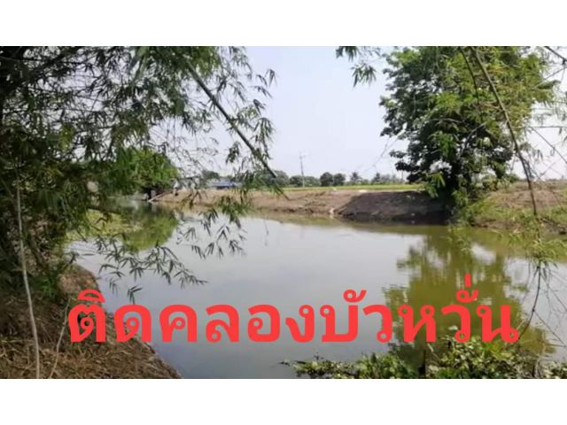 ●ขายที่ดินติดคลอง+ติดถนนลาดยาง