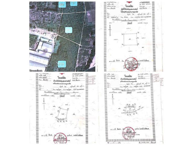 ขายที่ดิน ต.สันมะเค็ด อ.พาน จ.เชียงราย ติดถนน สายป่าแดด-พาน ปลูกสวนยาง 2,000 ต้น โทร 0818675639