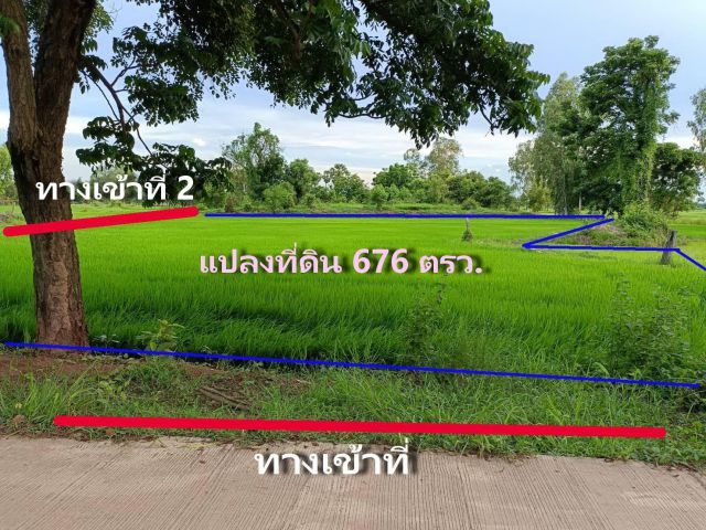 L1112 ขายที่ดินสวยทำเลดี เนื้อที่ 1 ไร่ วังทอง พิษณุโลก