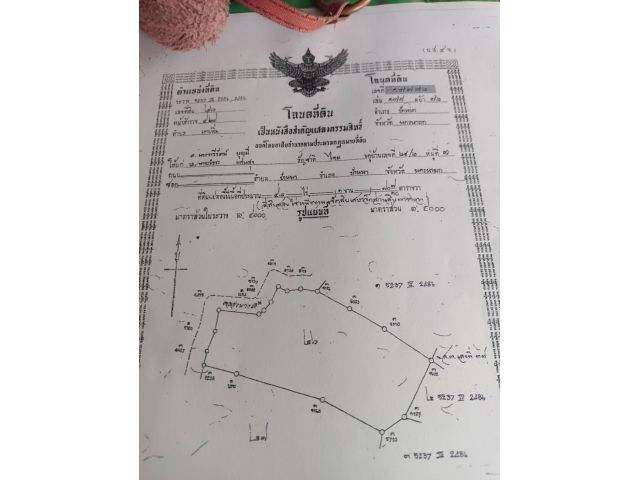 ที่ดินวิวภูเขาบ้านนานครนายก 42-1-70ไร่ ไร่ละ 8.5แสน  ต.เขาเพิ่ม อ.บ้านนา จ. นครนายก - ที่ดินหน้ากว้างติดถนนประมาณ 200m