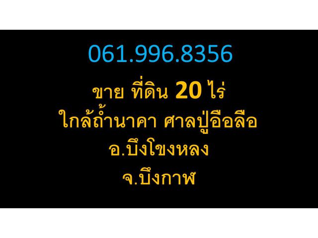 ขาย ที่ดิน 20 ไร่ ใกล้ถ้ำนาคา ศาลปู่อือลือ อ.บึงโขงหลง  จ.บึงกาฬ