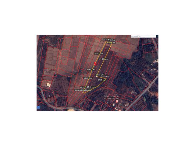 ที่ดินเนื้อที่ 4 ไร่ 2 งาน 38 ตรารางวา
