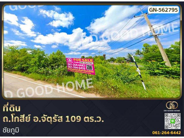 ที่ดิน ถ.โกสีย์ อ.จัตุรัส 109 ตร.ว. ชัยภูมิ