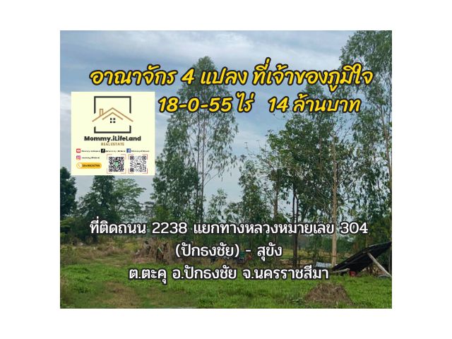 อาณาจักร 4 แปลง ที่เจ้าของภูมิใจ โฉนดครุฑแดง  18-0-55 ไร่  เหลือ 12.4 ล้านบาท  ต.ตะคุ อ.ปักธงชัย จ.นครราชสีมา