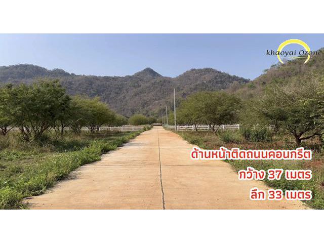 ที่ดินแปลงเล็ก เขาวง ปากช่อง เขาใหญ่ 300 ตรว พร้อมวิวเขา 360 องศา ถนนคอนกรีต น้ำ ไฟ