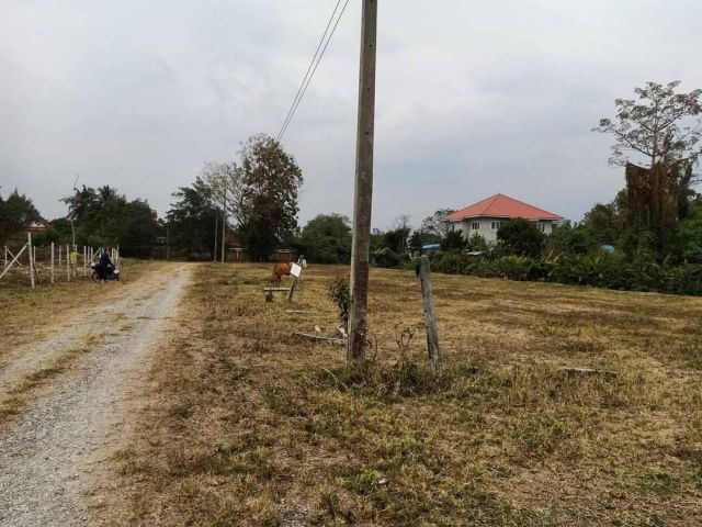 ขายที่ดินบ้านดอนไฟสันผักหวานหางดงโฉนดพร้อมโอน