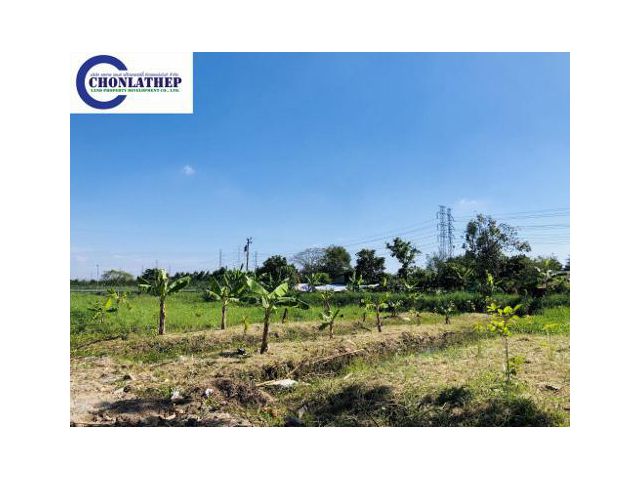 #ขายที่ดินบางพลี สมุทรปราการ 2 ไร่ Land for sale at Bang Phli, Samutprakan 2 Rai