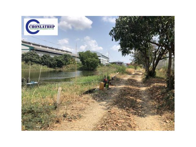 #ขายที่ดินติดถนนกิ่งแก้ว #สุวรรณภูมิ #Land for sale at #Kingkaew - #Suvarnabhumi 2 Rai