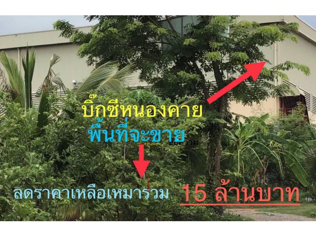 ต้องการขายที่ดินหลัง บิ๊กซี หนองคาย  3 ไร่ 3 งาน 34 ตรว. ราคาขายเหมารวม 15 ล้านบาท ต่อลองได้