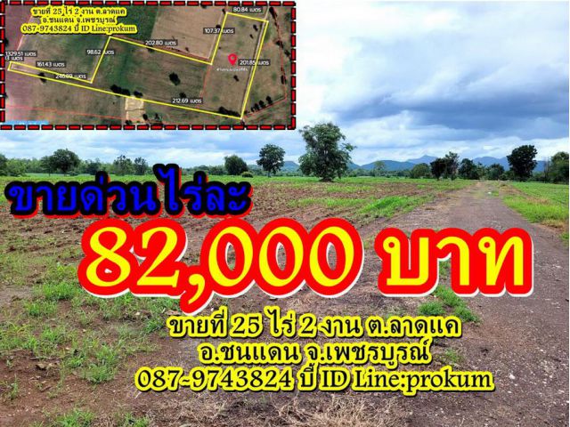 ขายที่ดินเพชรบูรณ์ 25 ไร่ 2 งาน ไร่ละ 82,000 บาท โฉนดครุฑแดง