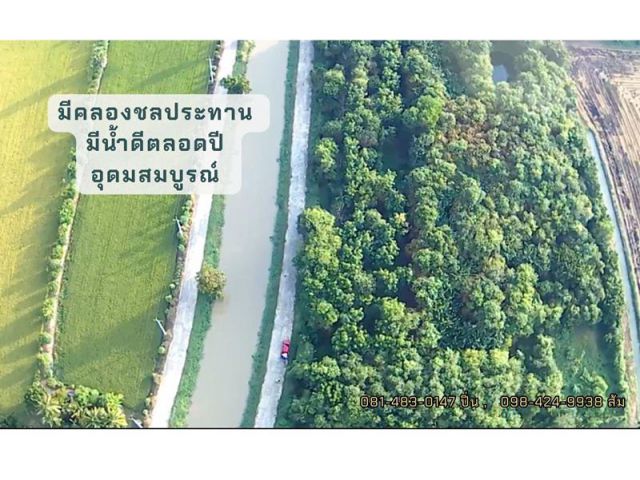 ที่ดิน พร้อมสวนป่า 7 ไร่ 3 งานกว่า บ้านรางหางม้า ต.ปลายนา อ.ศรีประจันต์ จ.สุพรรณบุรี  ติดถนน ติดคลองสาธารณประโยชน์  มีน้