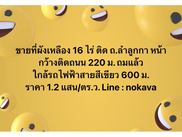 ขายที่ผังเหลือง 16 ไร่ ติด ถ.ลำลูกกา หน้ากว้างติดถนน 220 ม. ใกล้รฟฟ 600 ม.