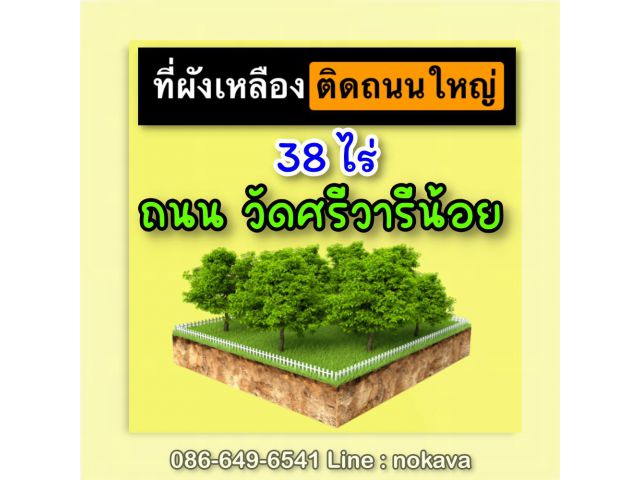 ขายที่ดินผังเหลือง 38 ไร่ ติดถนนใหญ่ ถนน วัดศรีวารีน้อย