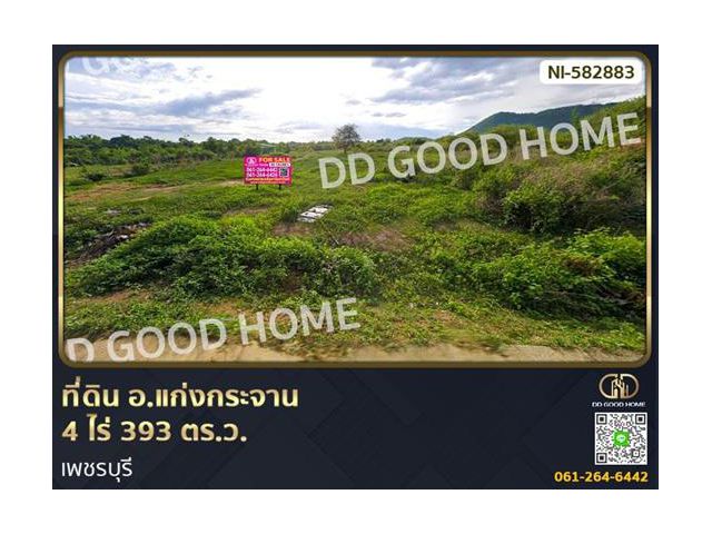 ที่ดิน อ.แก่งกระจาน 4 ไร่ 393 ตร.ว. เพชรบุรี