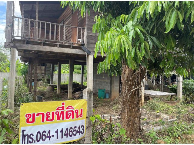 ต้องการขายบ้านพร้อมที่ดิน