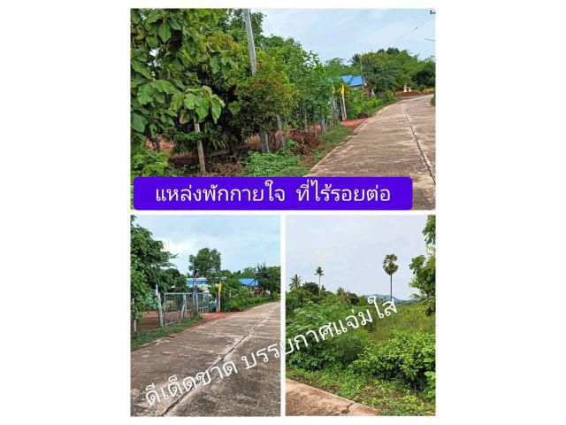 ทัวร์อยากลง ตรงนี้อยากขาย ให้ความสุขพร้อมเพิ่มเริ่มที่ตัวเรา แปลงดีๆที่ถูกๆปลูกฝังความต้องการความพร้อมรออยู่