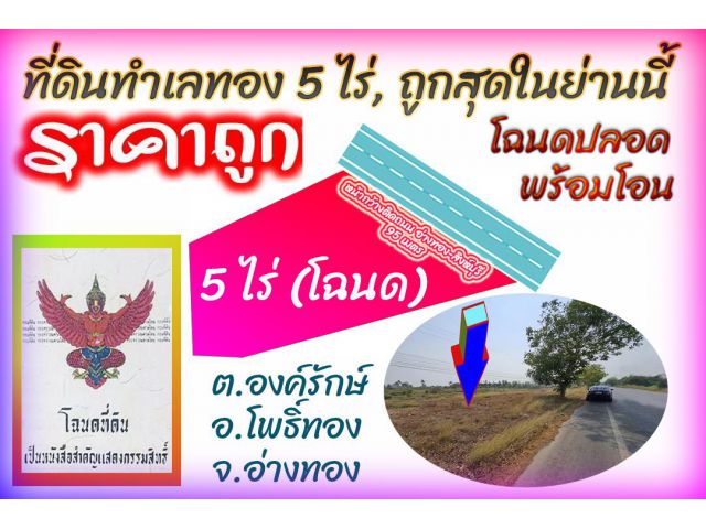 ►►► (เจ้าของขายเอง) ขายที่ดินแปลงสวย 5 ไร่ ติดถนนหลวงเส้นอ่างทอง-สิงห์บุรี หน้ากว้างติดถนนเกือบ 100 เมตร