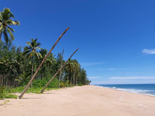 ขายที่ติดชายหาดเกาะพระทอง