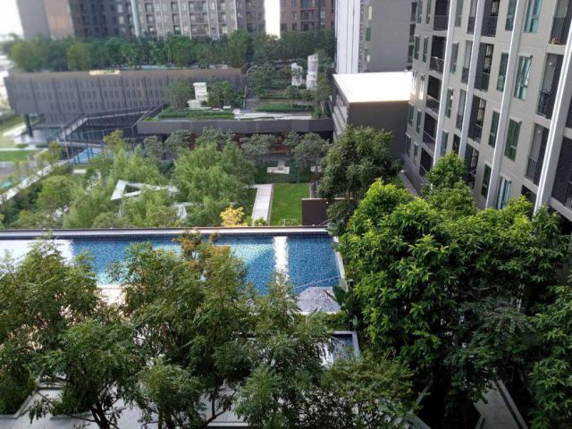 ให้เช่า คอนโด The Parkland Phetkasem56  30 ตรม. 1 bed 1 bath 1 living 1 balcony 1 parking space