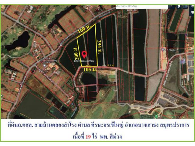 ขายที่ดินบนถนนบางนาตราด กม 21 ขาออก เข้าซอยบัวโรย คลองเสาระหงษ์ ศรีษะจรเข้ใหญ่ บางเสาธง สมุทรปราการ