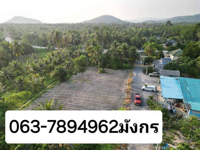 2.5 ล้าน พร้อมโอน ถูกใจจริง ต่อรองได้ครับ  Vายด่วนที่ดิน  1ไร่​  วิวภูเขา  โฉนดครุฑแดง พิกัดบ้านหุบบอน​ อ.ศรีราชา​