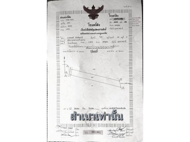 ขายที่นา เนื้อที่ 4/2/34.5 ไร่