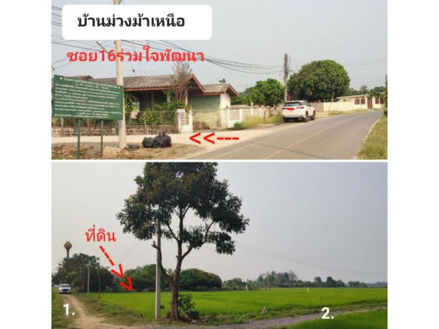 #*ขายที่ดิน(ที่นา)6ไร่3งาน71ตร.ว.อยู่บ้านม่วงม้าเหนือ ต.ร้องวัวแดง ใกล้ศูนย์ราชการ อ.สันกำแพงแค่700ม.ขายถูกๆ