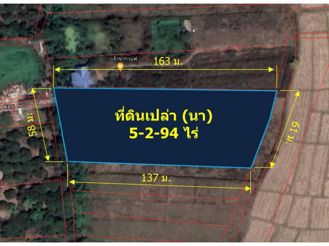 L335-ขายที่นา 5-2-94 ไร่ ต.ร้องวัวแดง อ.สันกำแพง จ.เชียงใหม่)