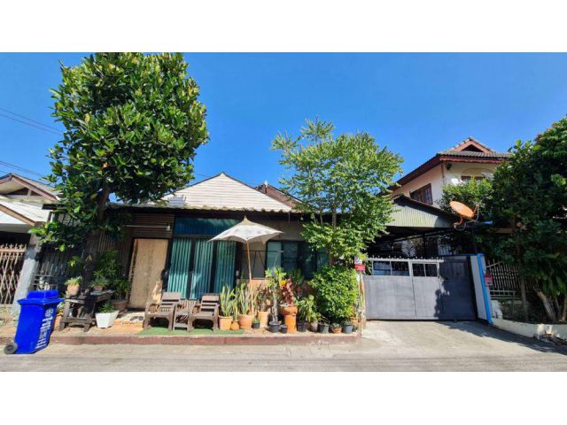 H496-Single-storey house for sale (Jed Yot), Chang Phueak, Mueang Chiang Mai, Chiang Mai.