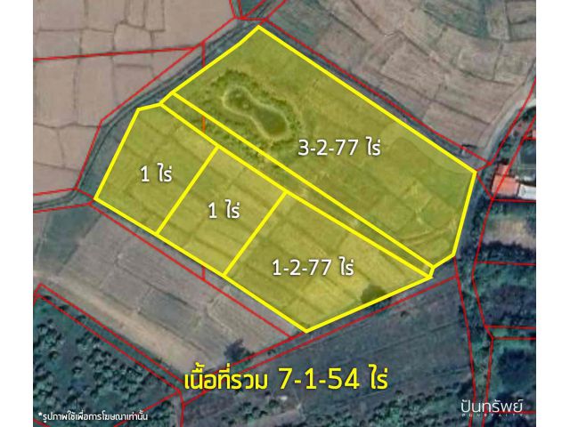 ขาย️ ที่ดิน 7-1-54 ไร่ ต.เมืองงาย อ.เชียงดาว จ.เชียงใหม่