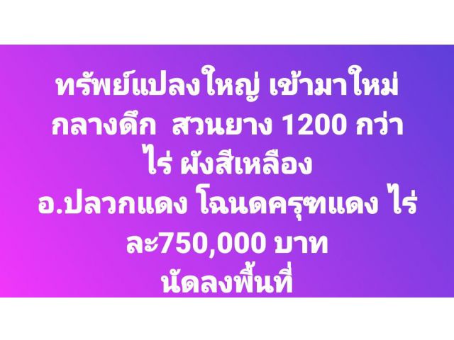 ทรัพย์แปลงใหญ่ เข้ามาใหม่กลางดึก  สวนยาง 1200 กว่าไร่ ผังสีเหลือง อ.ปลวกแดง โฉนดครุฑแดง ไร่ละ750,000 บาท นัดลงพื้นที่