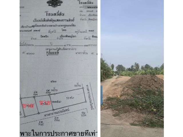 ขายที่ พิษณุโลก