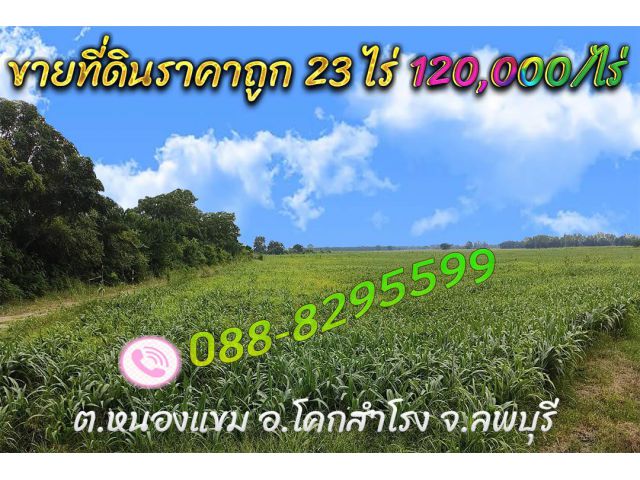 ►►► ขายที่ดินราคาถูก 23 ไร่ เอกสารโฉนด โคกสำโรง ลพบุรี ราคาขายเพียง 120,000 บาทต่อไร่