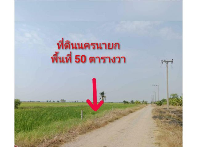 ที่ดิน50ตรว,ขายถูก