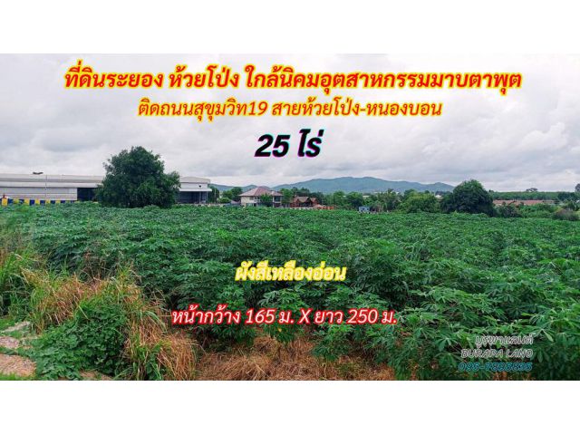 ขายที่ดินระยอง ห้วยโป่ง 25 ไร่ ติดถนนสุขุมวิท 19 (ถนนสายห้วยโป่ง-หนองบอน)