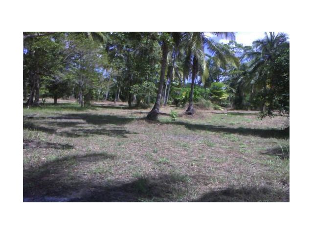 Land for sale at Takuapa Phang Ngaที่ดินใกล้ชายทะเล ต.บางม่วง อ.ตะกั่วป่า จ.พังงา 7-1-83 ไร่ ราคา 24.6 ล้าน